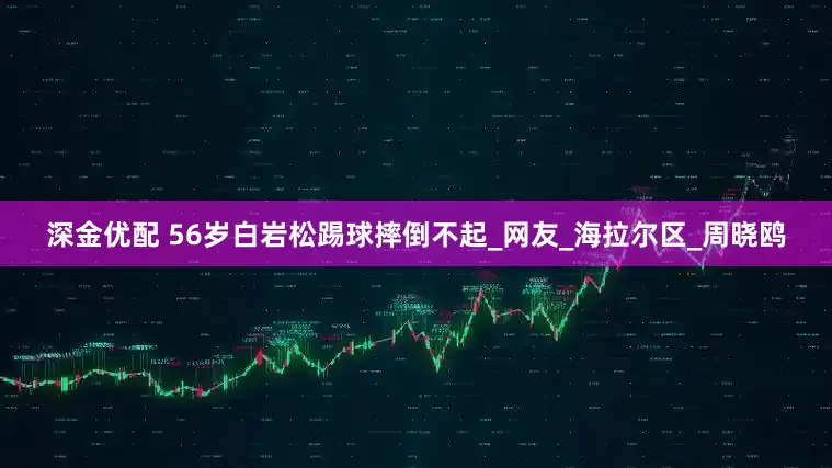 深金优配 56岁白岩松踢球摔倒不起_网友_海拉尔区_周晓鸥