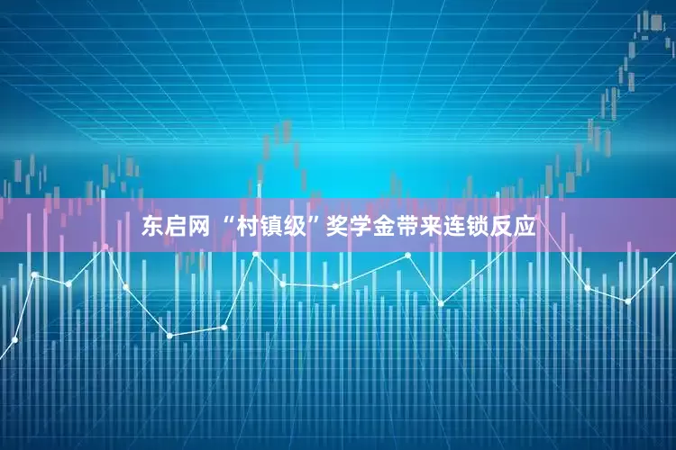 东启网 “村镇级”奖学金带来连锁反应