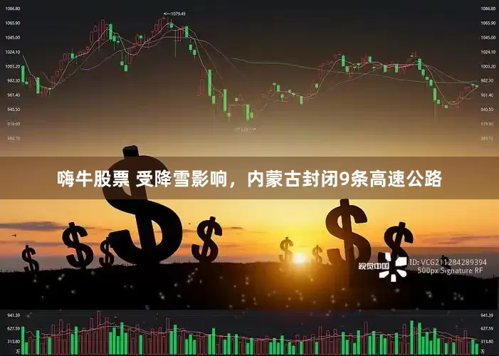 嗨牛股票 受降雪影响，内蒙古封闭9条高速公路